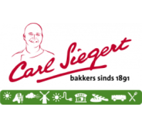 Logo sponsor